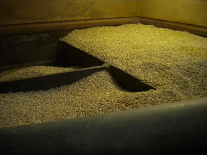 Cafe en pergamino seco almacenado en bodega