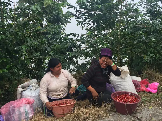 Foto de la finca Culpan