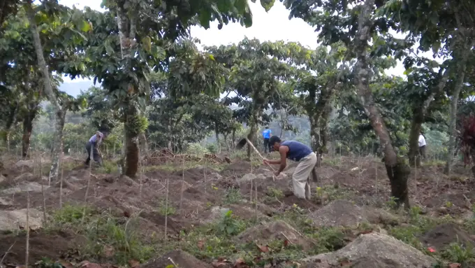 Foto de la finca Culpan