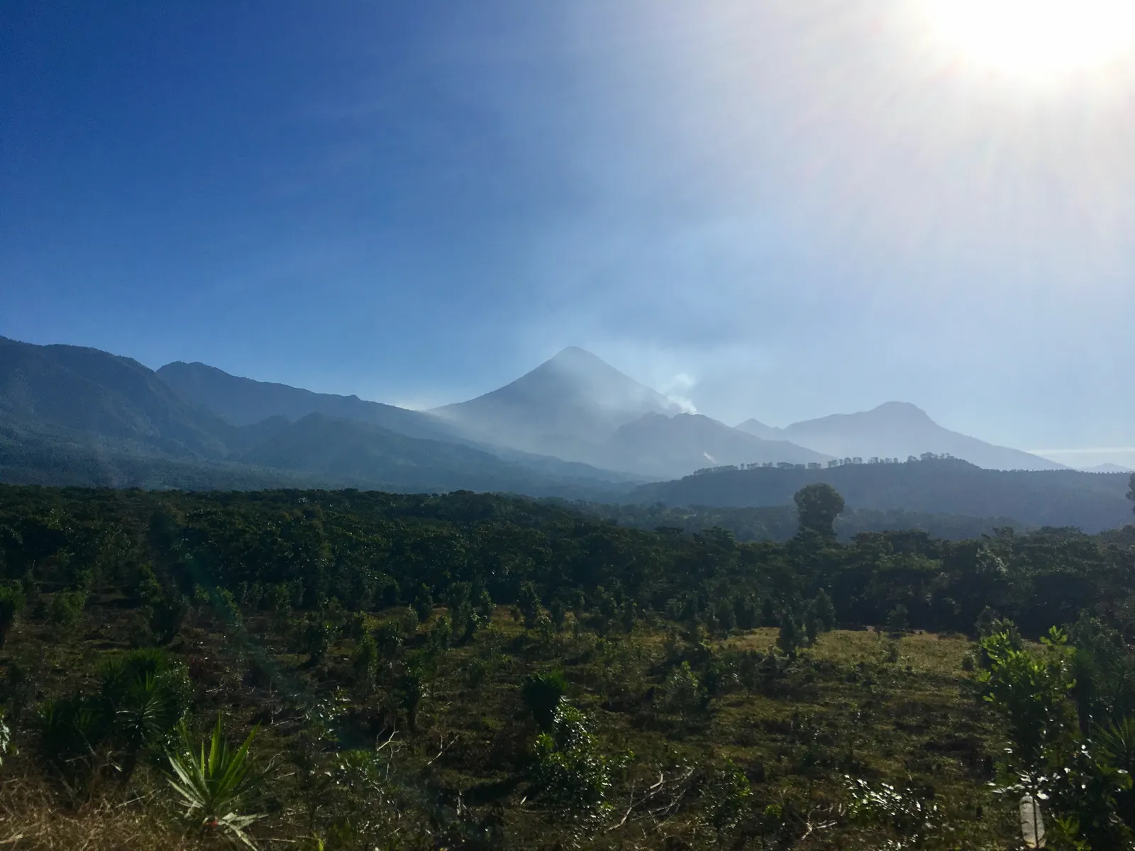 Volcan Santiaguito cuyas cenizas enriquecen el cafetal de Culpan