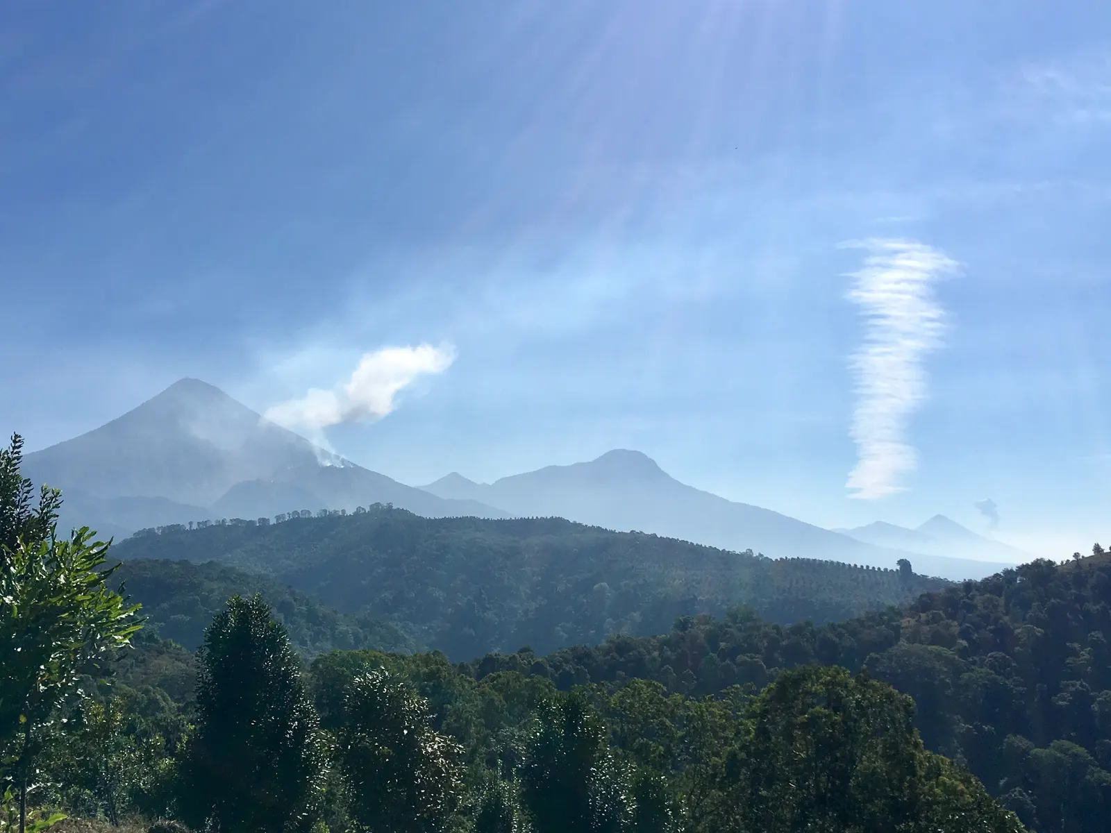 Volcan Santiaguito con fumarola sobre la finca Culpan
